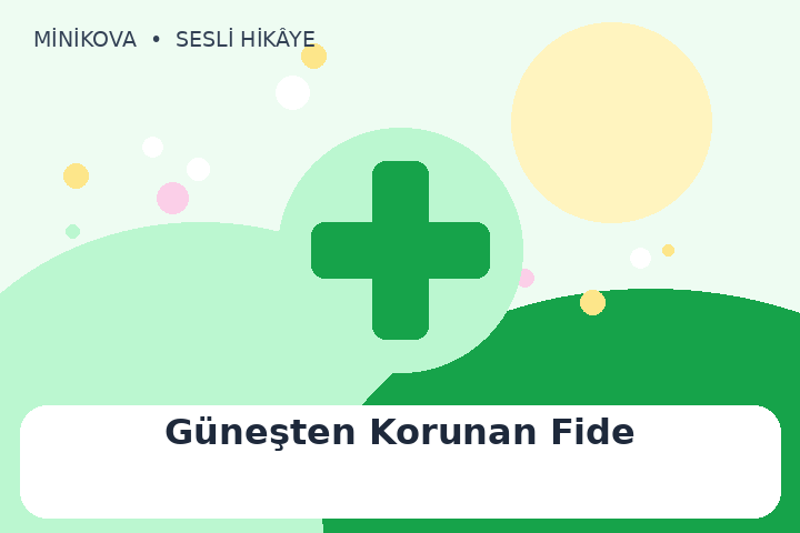 Güneşten Korunan Fide için renkli, yardımlaşmak temalı çocuk hikâyesi kapak görseli